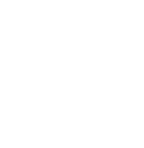 logo sophie de ridder coaching